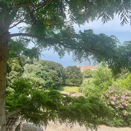 Charmante Maison Avec Vue بيت للعطل Viggianello